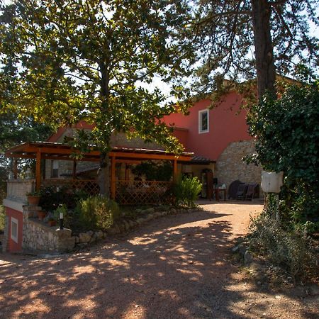 Agriturismo Terre Della Rinascita Castelnuovo della Misericordia Exterior photo