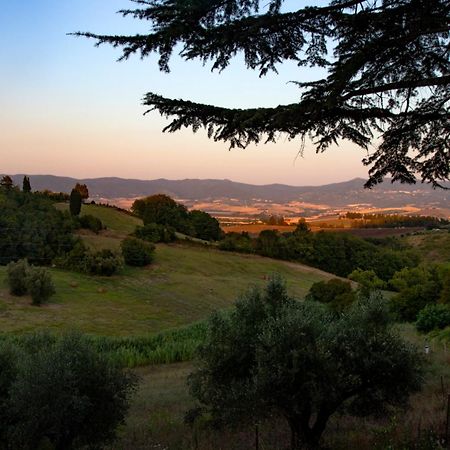 Agriturismo Terre Della Rinascita Castelnuovo della Misericordia Exterior photo