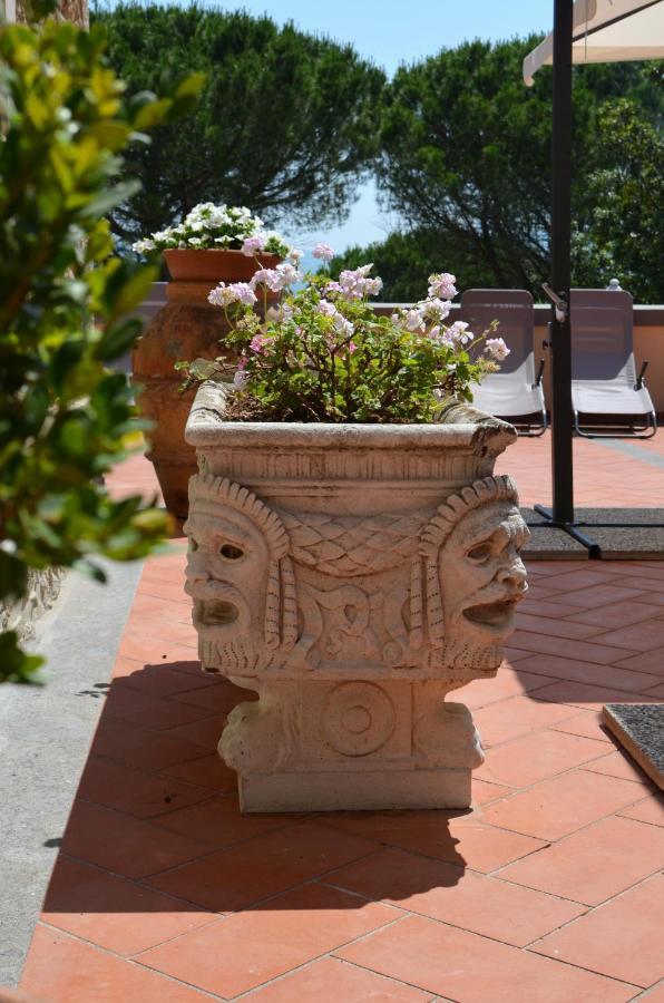 Agriturismo Terre Della Rinascita Castelnuovo della Misericordia Exterior photo