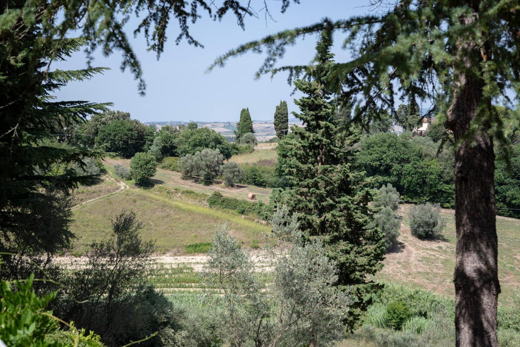 Agriturismo Terre Della Rinascita Castelnuovo della Misericordia Exterior photo