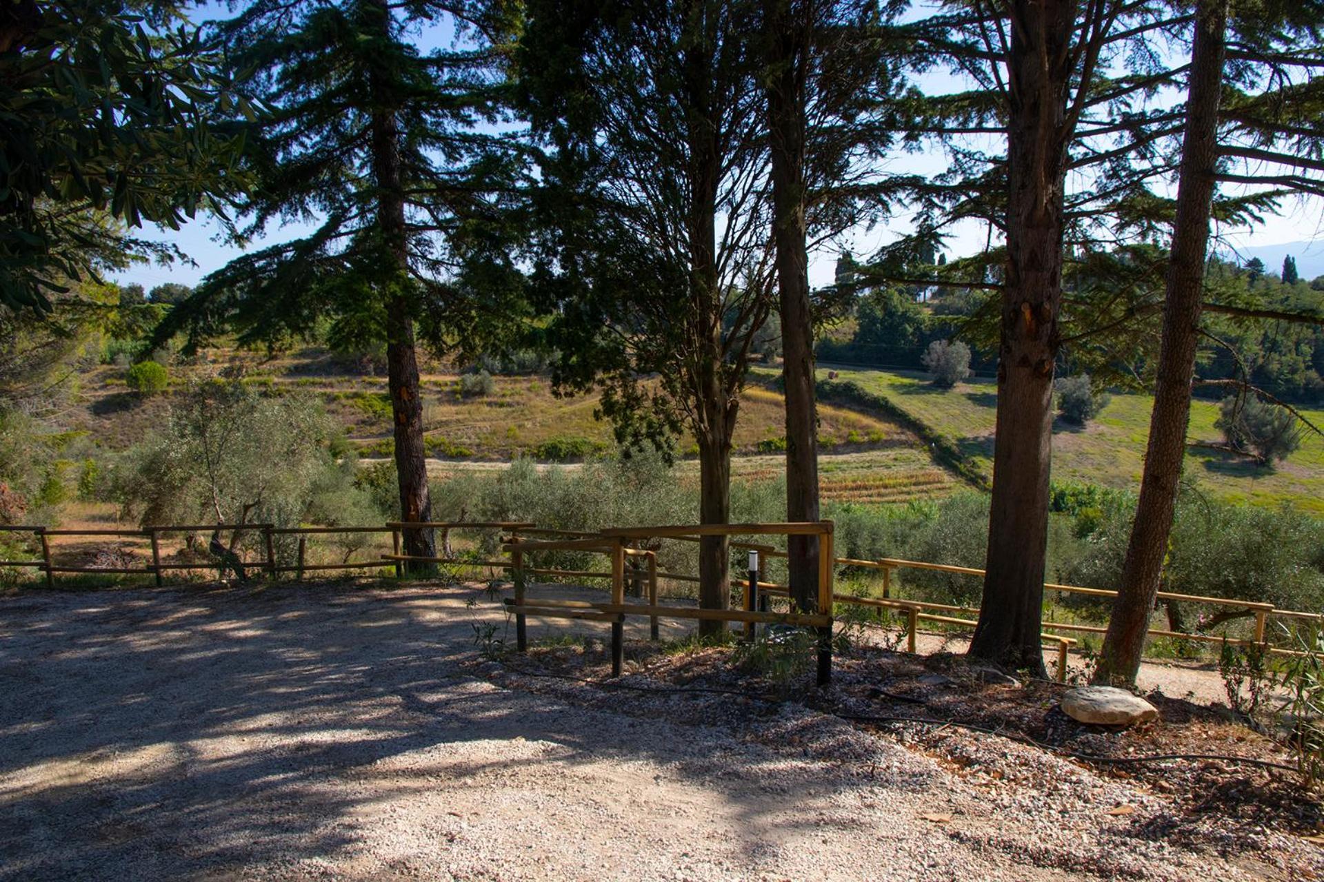 Agriturismo Terre Della Rinascita Castelnuovo della Misericordia Exterior photo